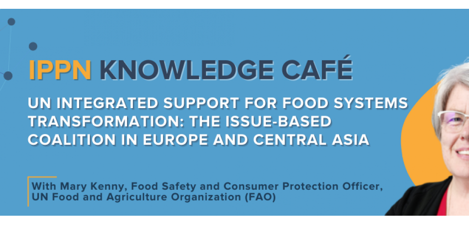 An image of the 2nd IPPN Knowledge Café event banner