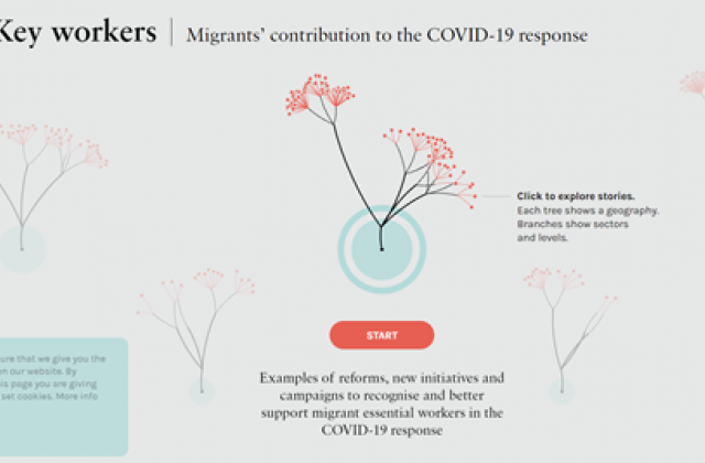 A images showing a network of stories about migrant's contributions during COVID-19