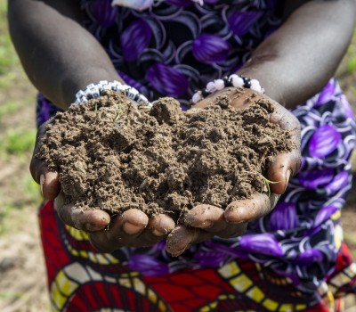 Image of hands holding soil