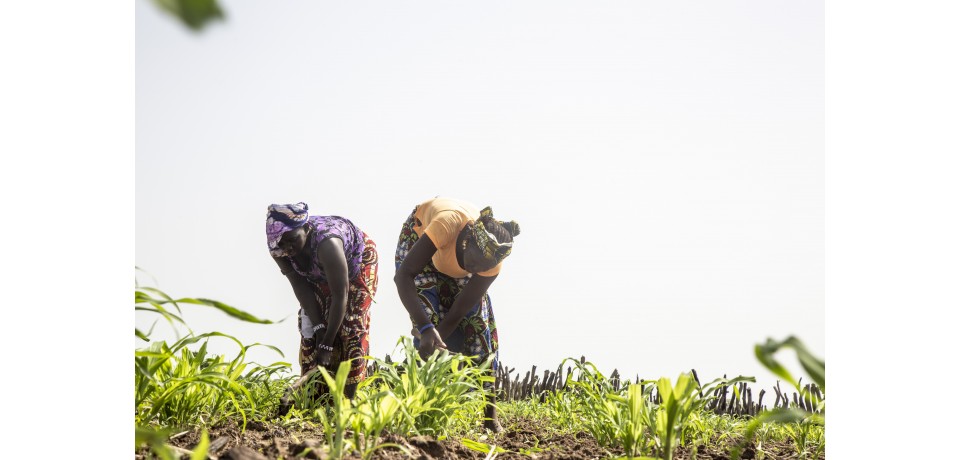 Image of two agricultural workers in Senegal