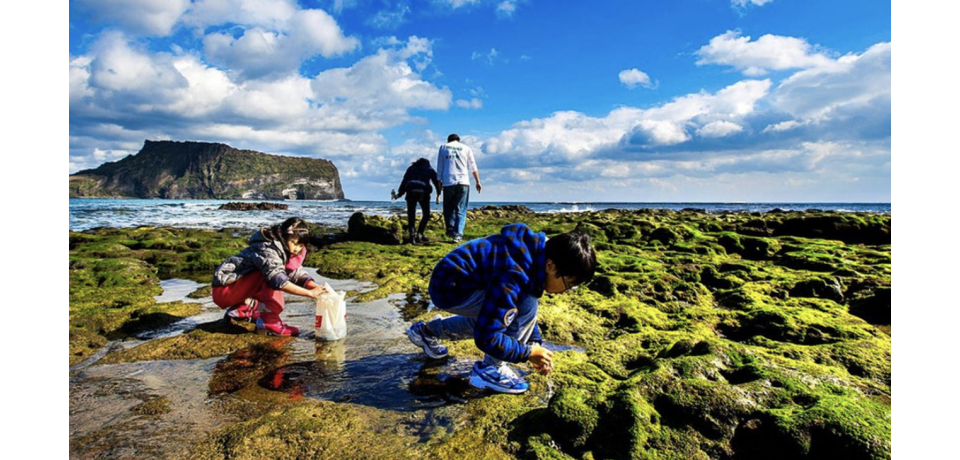 An image of two children and two adults looking at coastal tide pools, which is the front image of the Introduction to the 2030 Agenda: A New Agenda for a Sustainable World e-course