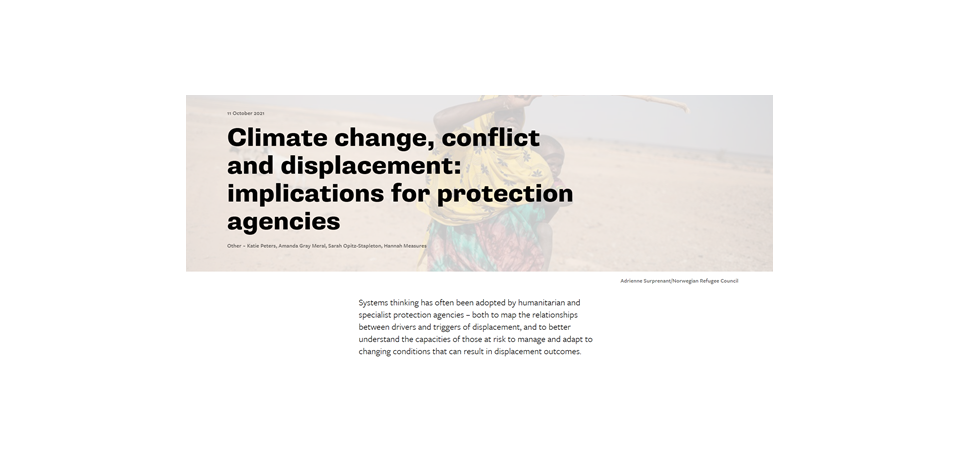 Image of the ODI climate change displacement protection agencies webpage