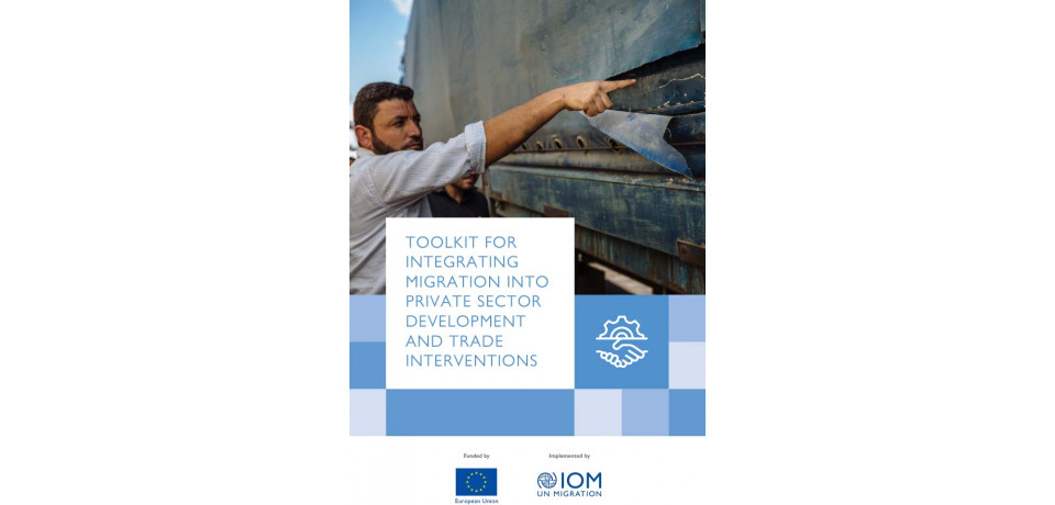 MMICD private sector development cover: Migrant industrial worker