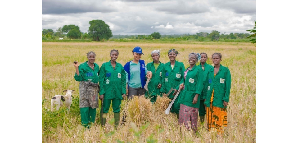 image of a group of women standing in the farmland and smiling to the camera