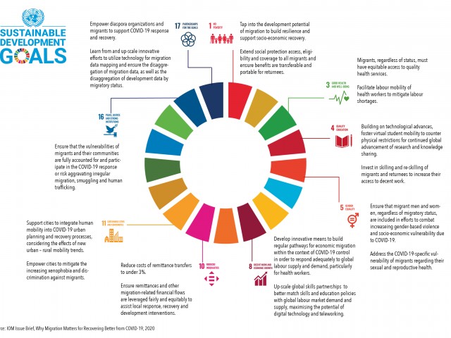 A graphic showing the connections how migration can help us recover from COVID-19 and how this would impact/address the SDGs 