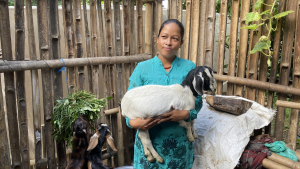 A woman holding a goat kid