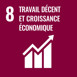 SDG 8: Travail Decent et Croissance Economique
