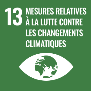 SDG Mesures Relatives à la Lutte Contre les Changements Climatiques (FR)