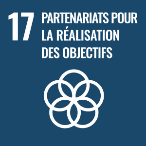SDG 17 - Partenariats pour la Réalisation des Objectifs (FR) 