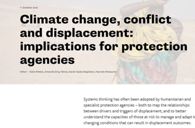Image of the ODI climate change displacement protection agencies webpage