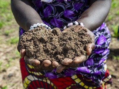 Image of hands holding soil