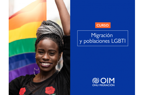 Migration and LGBTI populations