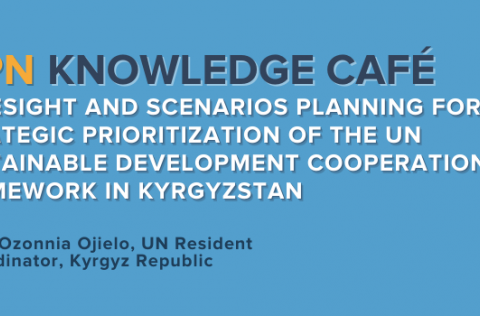 IPPN Knowledge Café: Foresight and Scenarios Planning for Strategic Prioritization of the UN Sustainable Development Cooperation Framework in Kyrgyzstan