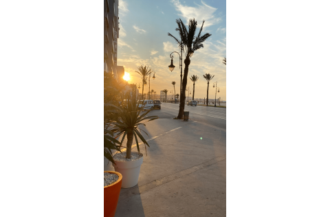 Image of a street with palm trees and sunset