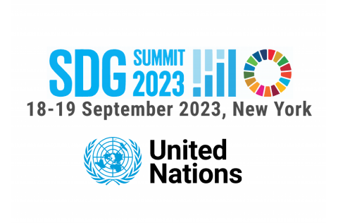 SDG Summit Logos