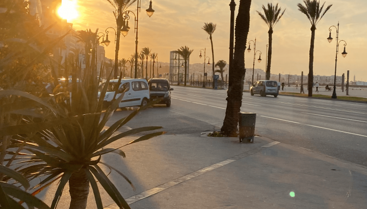 Image of a street with palm trees and sunset