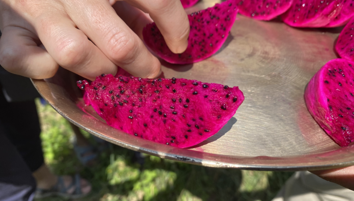 image of people getting a dragon fruit in a plate