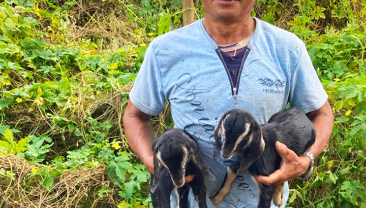 a man holding two goat kids 