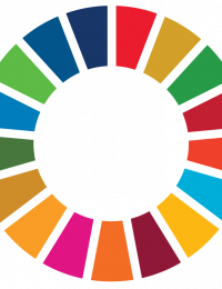 the SDG wheel