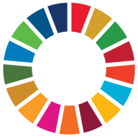 the SDG wheel